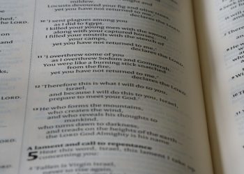 Тест на навязчивые грезы Тест на навязчивые грезы