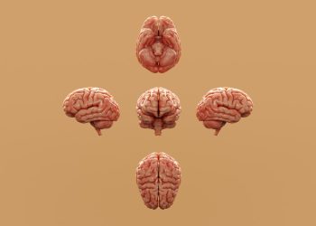 Тест на шизофрению