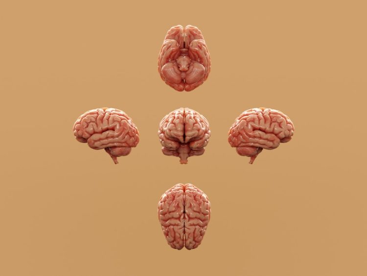 Тест на шизофрению Тест на шизофрению