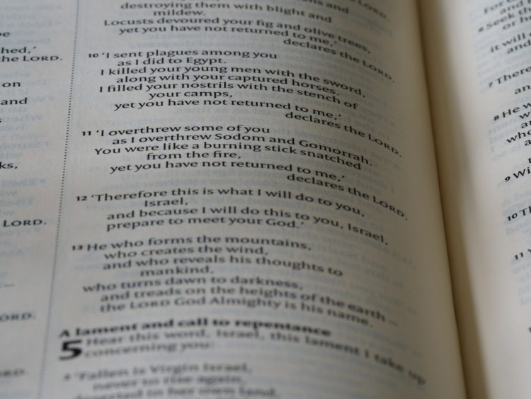 Тест на садизм