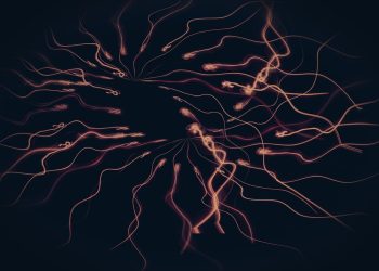 Тест на нервный срыв