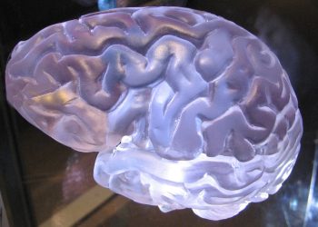 Тест на невротика Логическая память тест